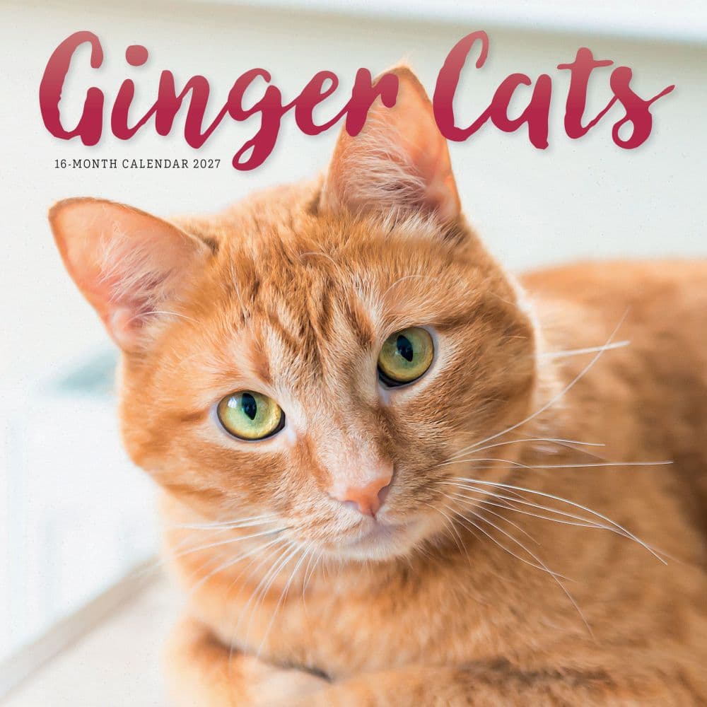 Ginger Cats 2027 Wall Calendar