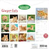 image Ginger Cats 2027 Wall Calendar First Alternate Image