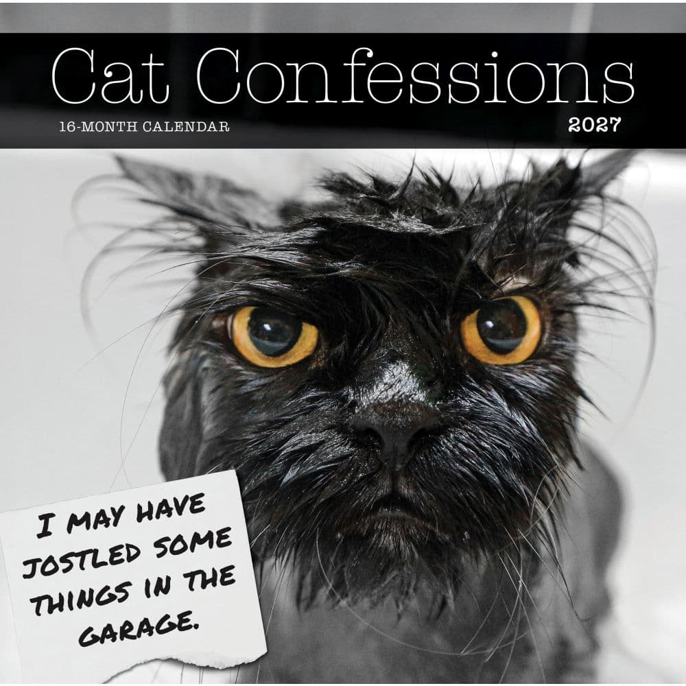 Cat Confessions 2027 Wall Calendar Main Product Image
