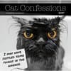image Cat Confessions 2027 Wall Calendar Main Product Image