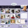 image Cat Confessions 2027 Wall Calendar First Alternate Image