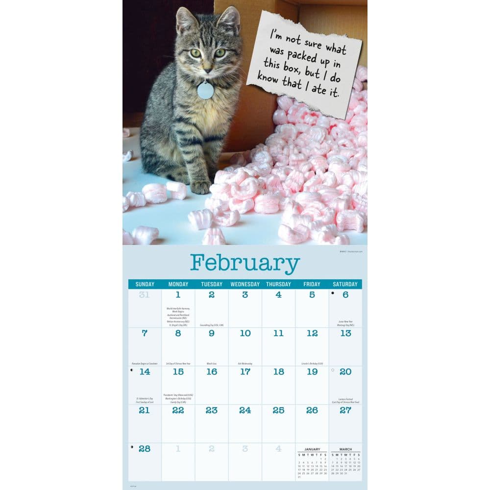 Cat Confessions 2027 Wall Calendar Second Alternate Image