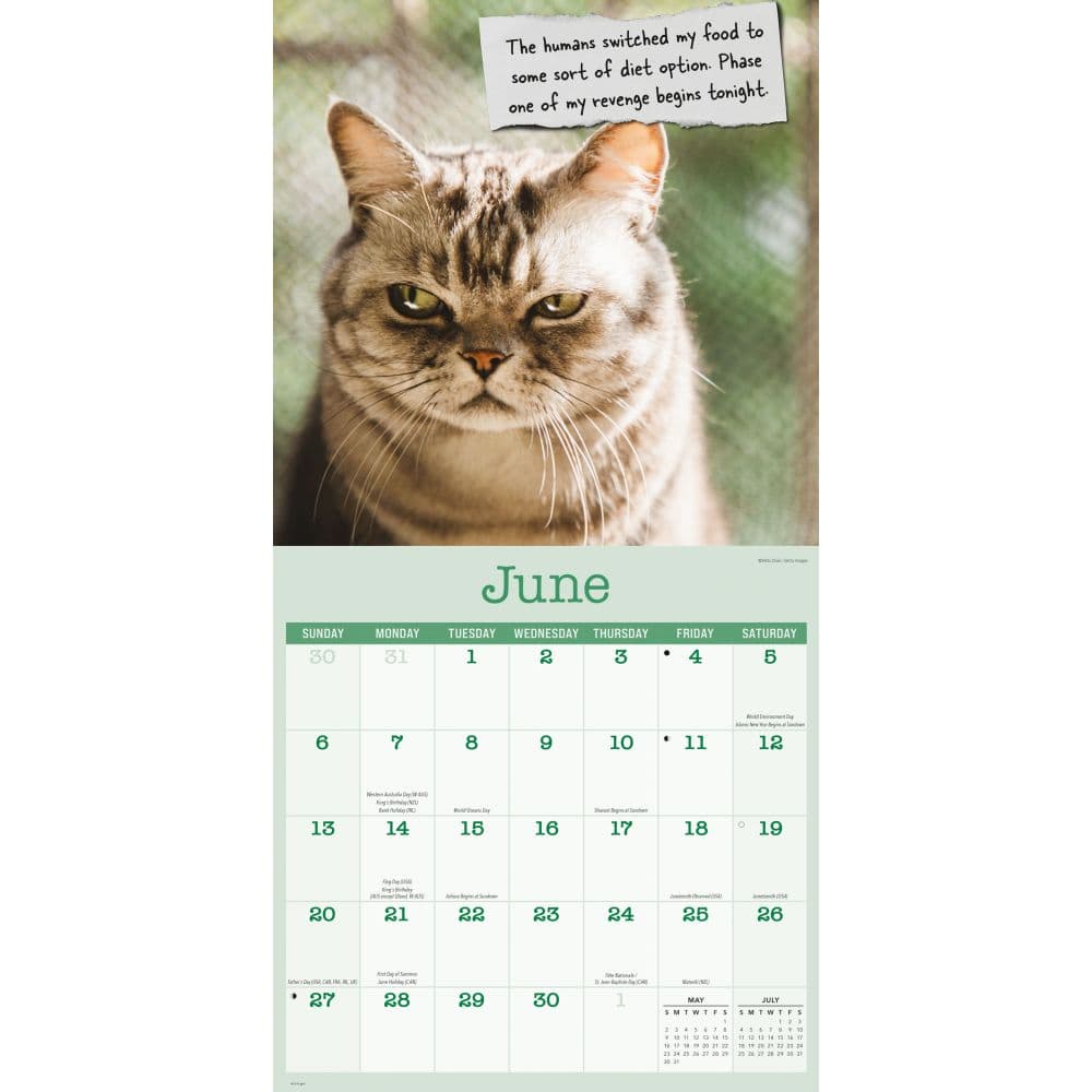 Cat Confessions 2027 Wall Calendar Third Alternate Image