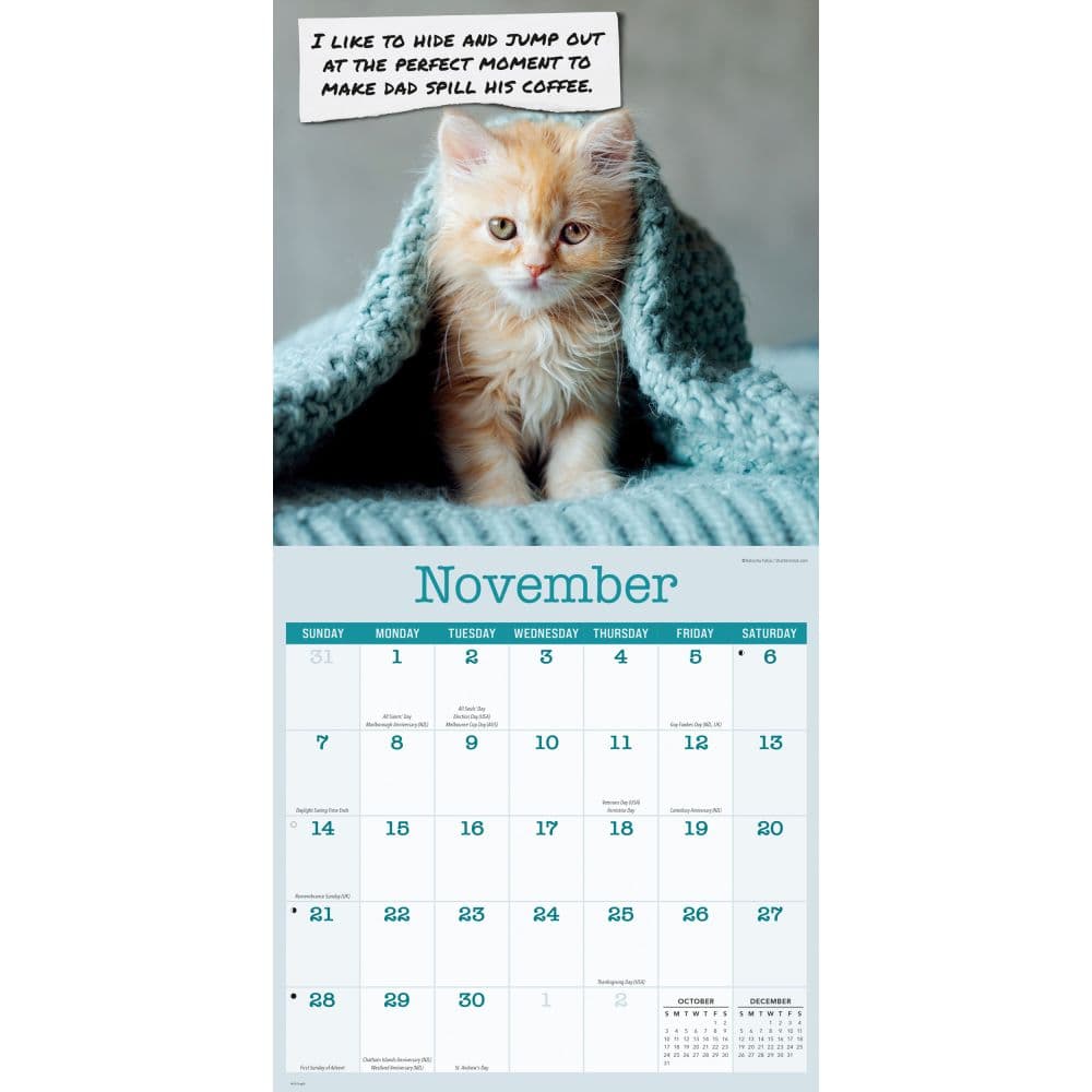 Cat Confessions 2027 Wall Calendar Fourth Alternate Image