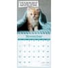 image Cat Confessions 2027 Wall Calendar Fourth Alternate Image