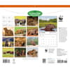 image WWF Capybaras 2027 Wall Calendar First Alternate Image
