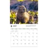 image WWF Capybaras 2027 Wall Calendar Third Alternate Image