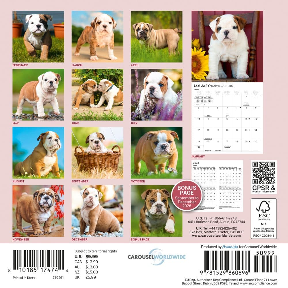 Bulldog Puppies 2027 Mini Wall Calendar First Alternate Image