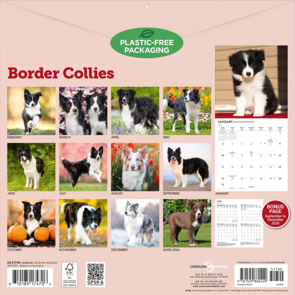Border Collies 2027 Wall Calendar First Alternate Image