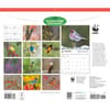 image WWF Backyard Birds 2027 Wall Calendar First Alternate Image