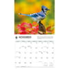 image WWF Backyard Birds 2027 Wall Calendar Fourth Alternate Image