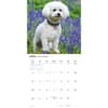image Bichon Frise 2027 Wall Calendar Second Alternate Image