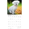 image Bichon Frise 2027 Wall Calendar Fourth Alternate Image