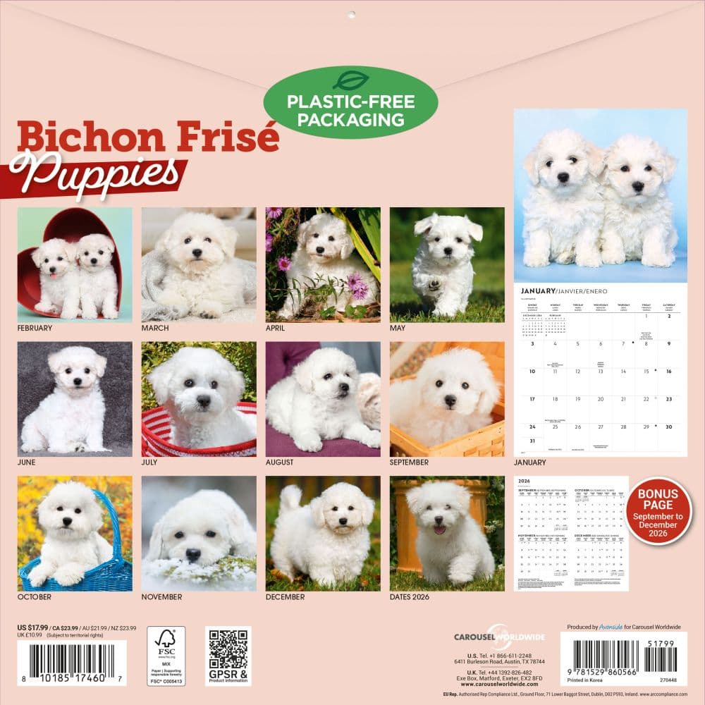 Bichon Frise Puppies 2027 Wall Calendar First Alternate Image