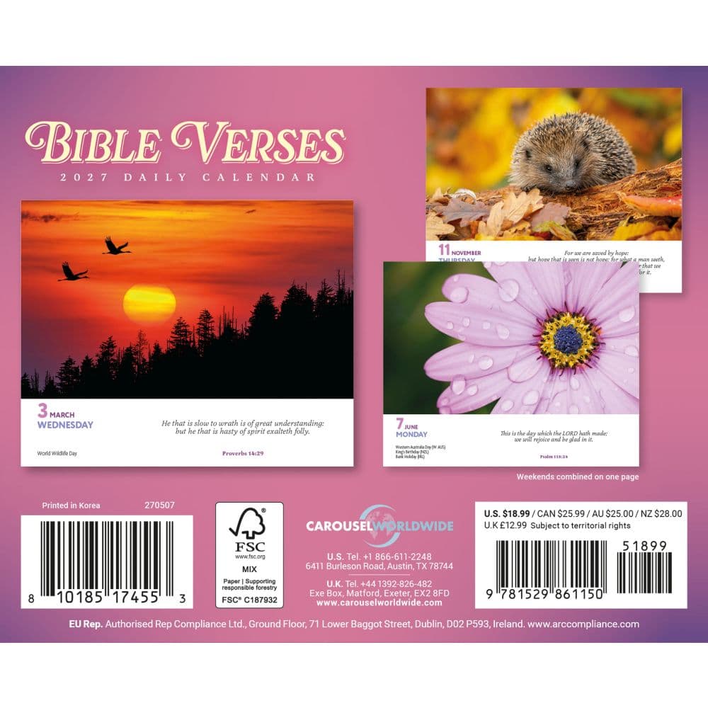 Bible Verses 2027 Desk Calendar First Alternate Image