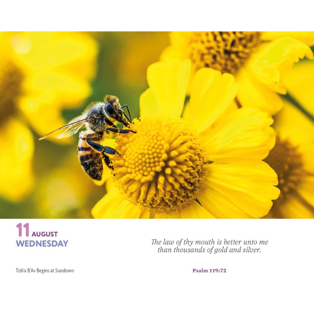 Bible Verses 2027 Desk Calendar Third Alternate Image