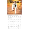 image Beagle 2027 Mini Wall Calendar Fourth Alternate Image