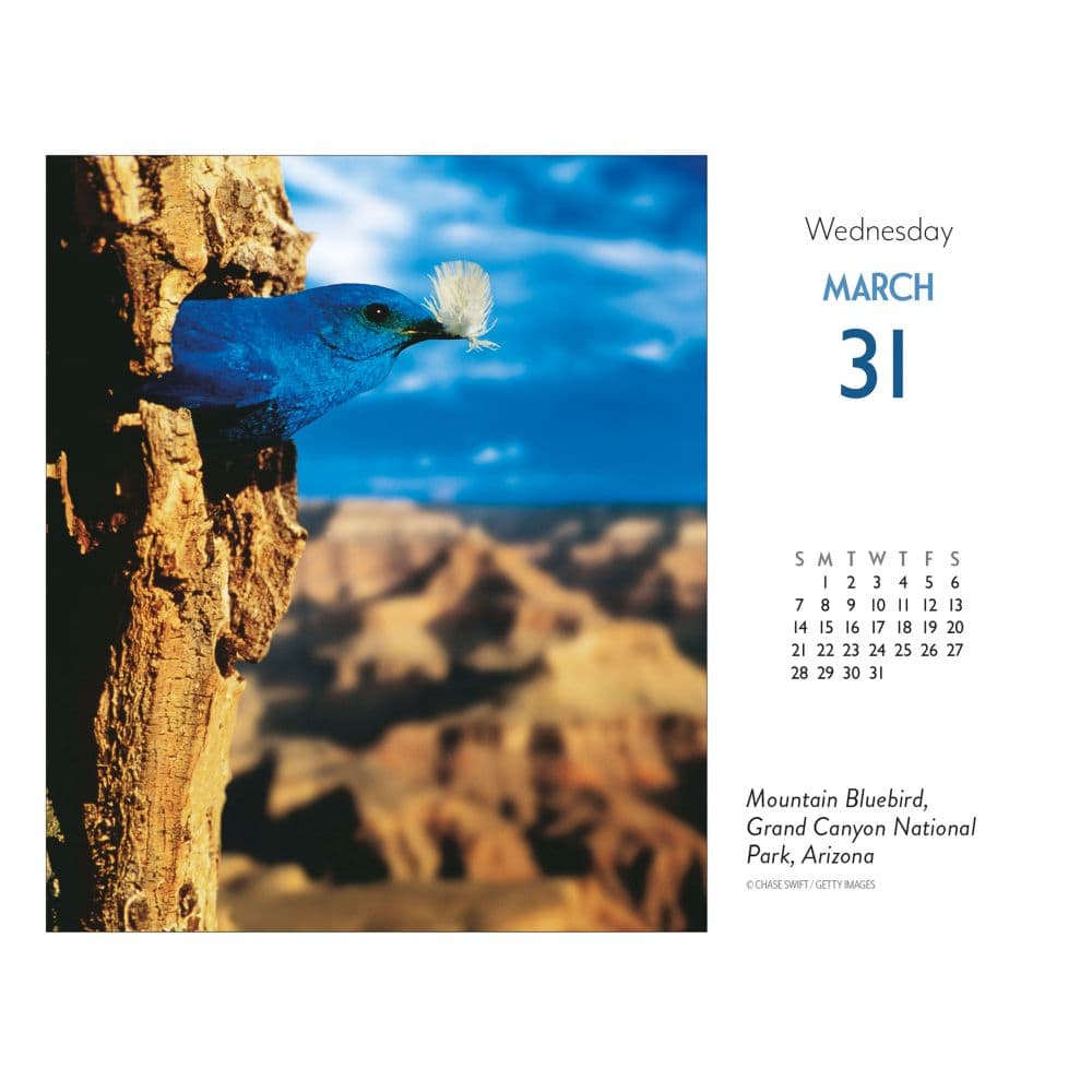 Americas National Parks 2027 Desk Calendar Second Alternate Image