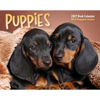 image Puppies 2027 Desk Calendar Main Product Image