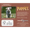 image Puppies 2027 Desk Calendar First Alternate Image