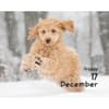 image Puppies 2027 Desk Calendar Fourth Alternate Image