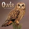 image Owls 2027 Mini Wall Calendar Main Product Image