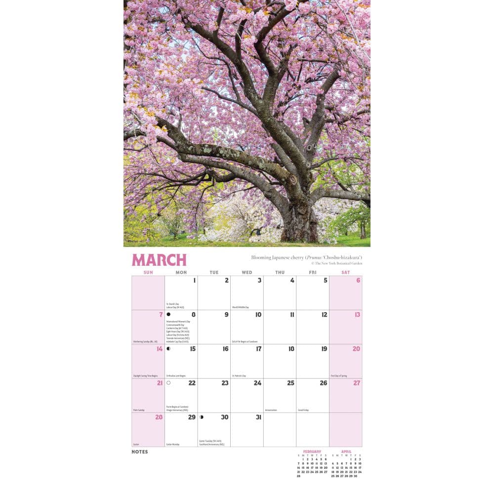 New York Botanical Gardens 2027 Mini Wall Calendar Second Alternate Image