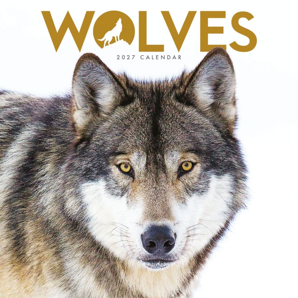 Wolves 2027 Mini Wall Calendar Main Product Image