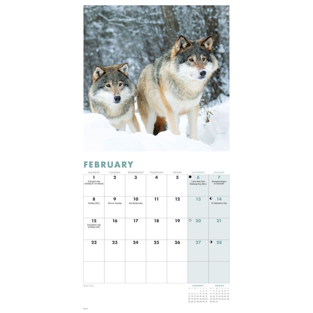 Wolves 2027 Mini Wall Calendar Second Alternate Image