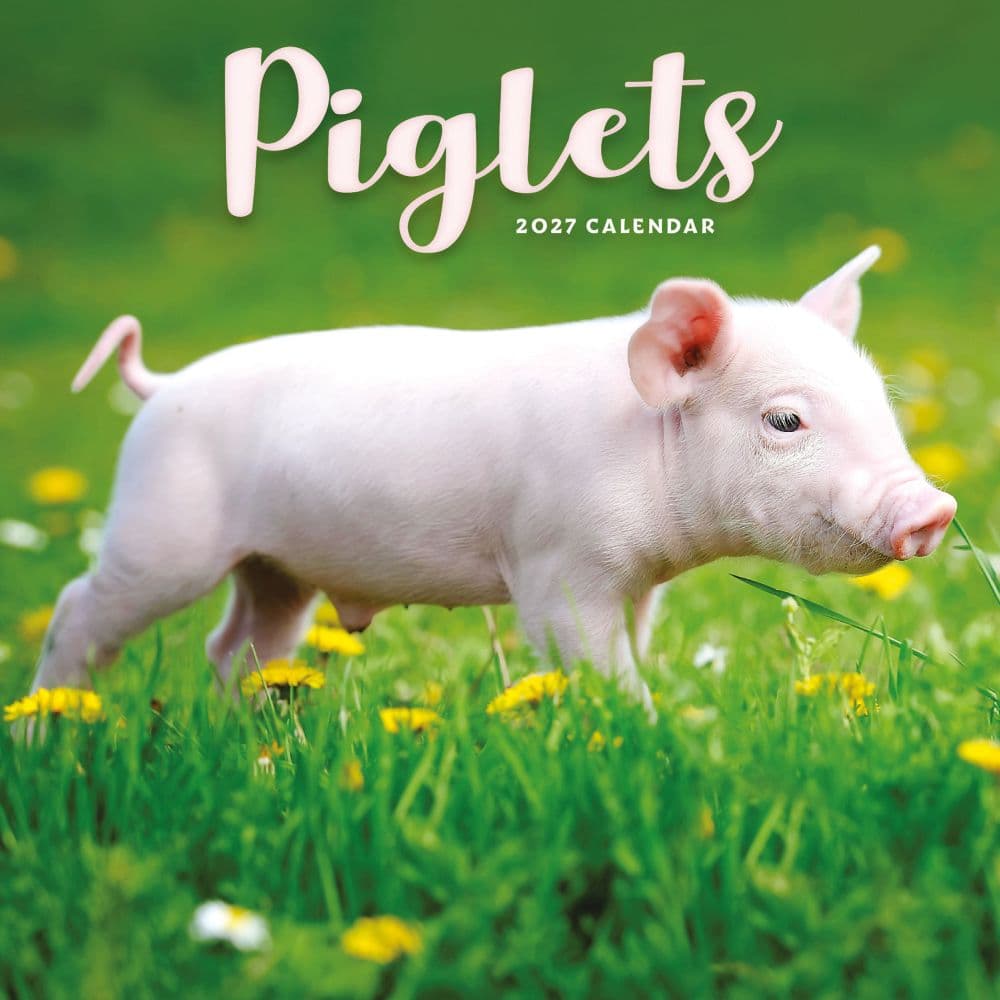Piglets 2027 Mini Wall Calendar Main Product Image