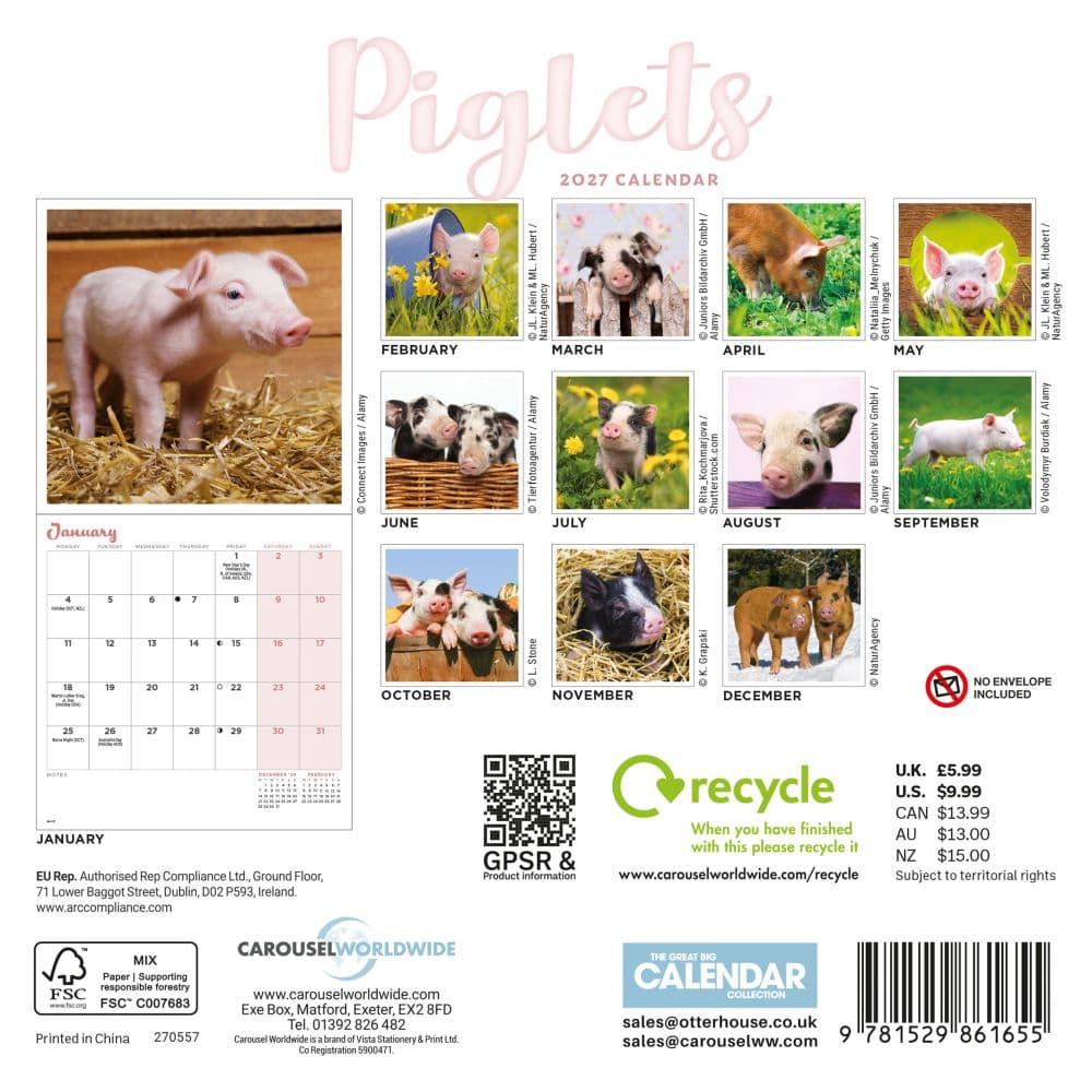 Piglets 2027 Mini Wall Calendar First Alternate Image