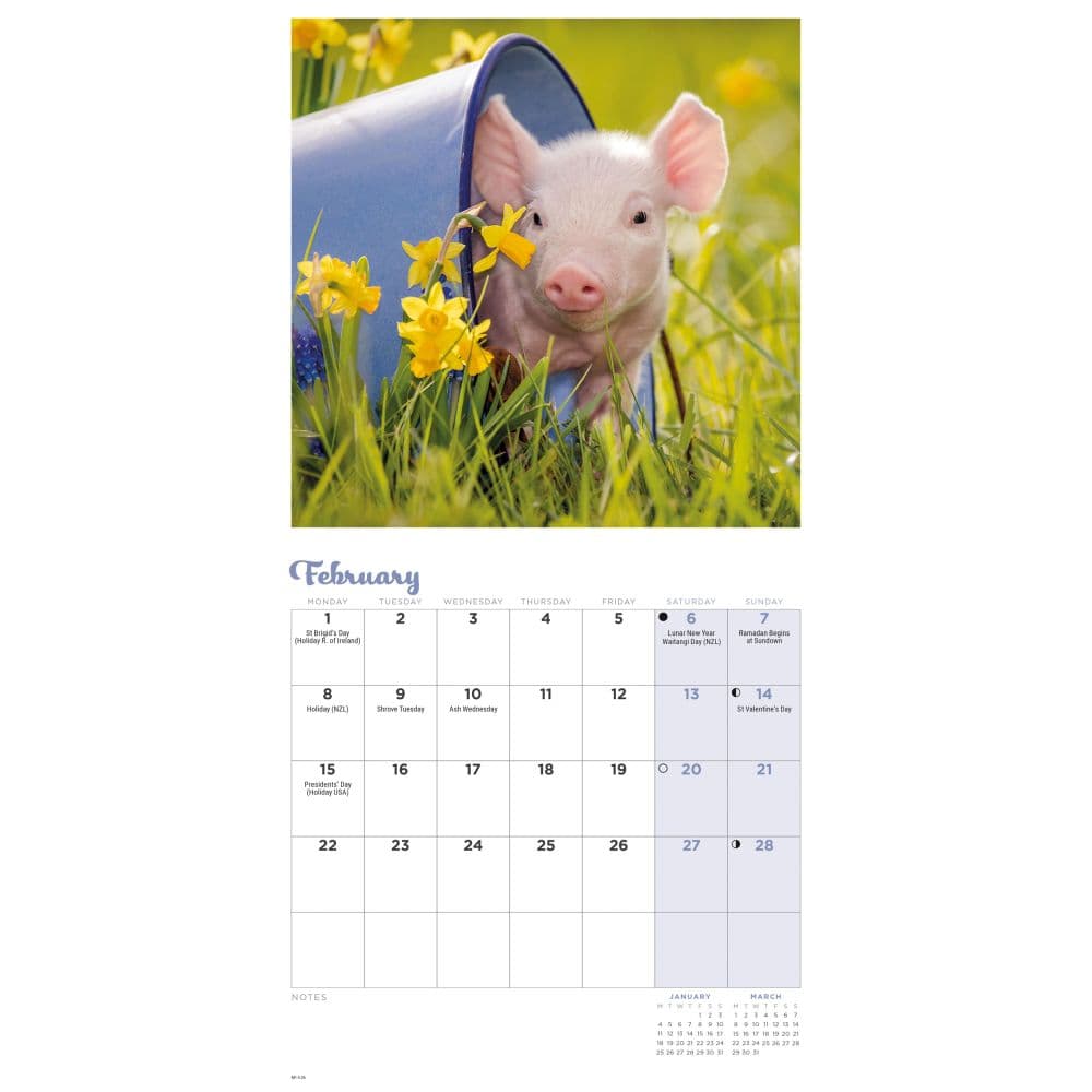 Piglets 2027 Mini Wall Calendar Second Alternate Image