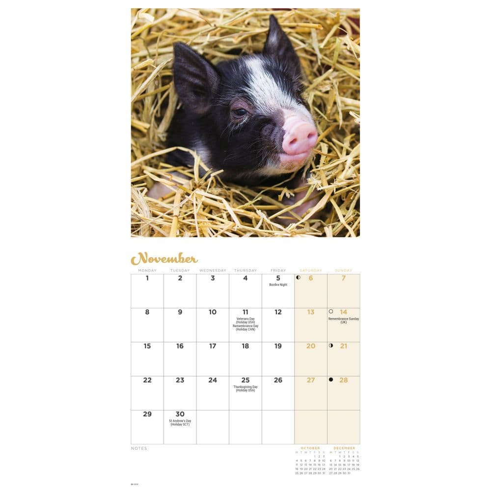 Piglets 2027 Mini Wall Calendar Fourth Alternate Image