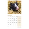 image Piglets 2027 Mini Wall Calendar Fourth Alternate Image