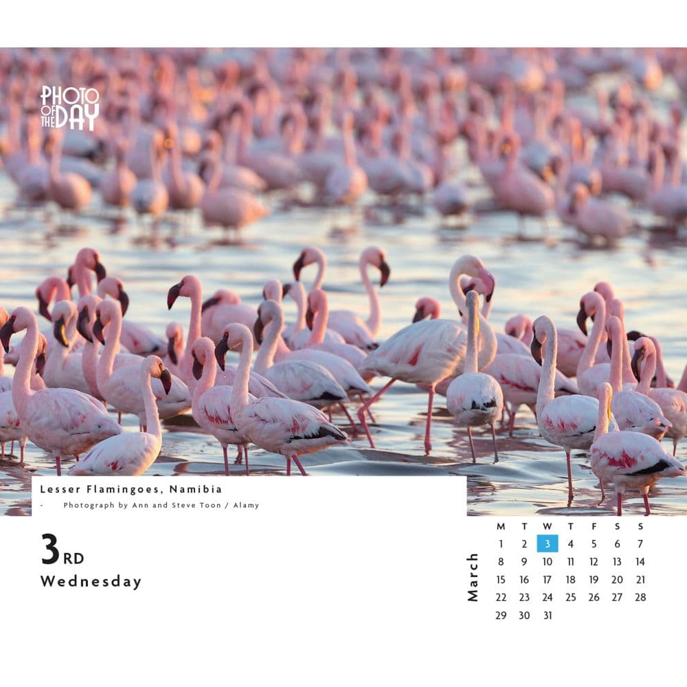 Photo of the Day 2027 Desk Calendar Second Alternate Image