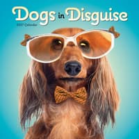 image Dogs in Disguise 2027 Wall Calendar Main Product Image