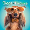 image Dogs in Disguise 2027 Wall Calendar Main Product Image