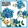 image New York Botanical Gardens Illustrated 2027 Wall Calendar Main Product Image