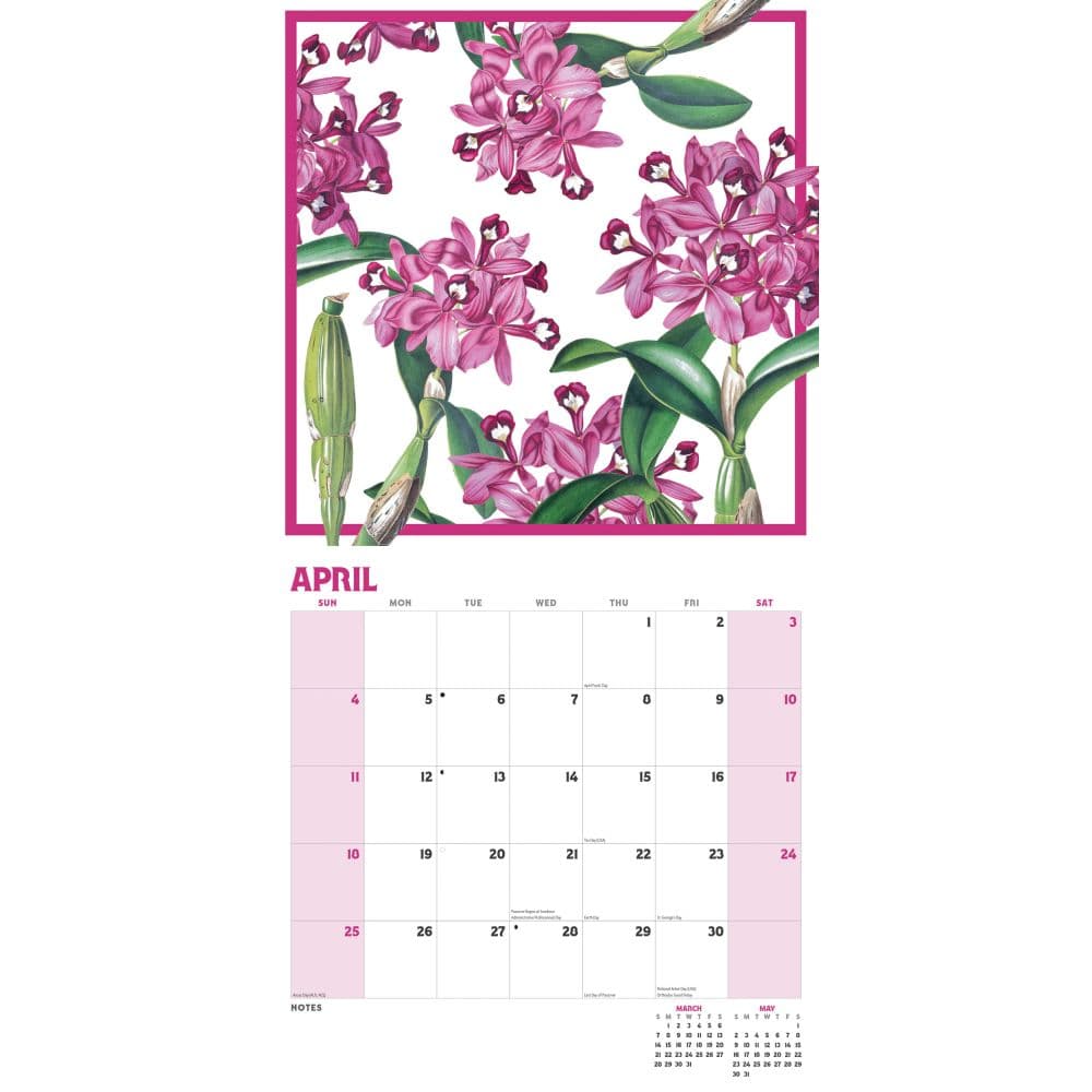New York Botanical Gardens Illustrated 2027 Wall Calendar Second Alternate Image