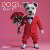 image Dogs All Dressed Up 2027 Wall Calendar by Gladstone Media Main Product Image