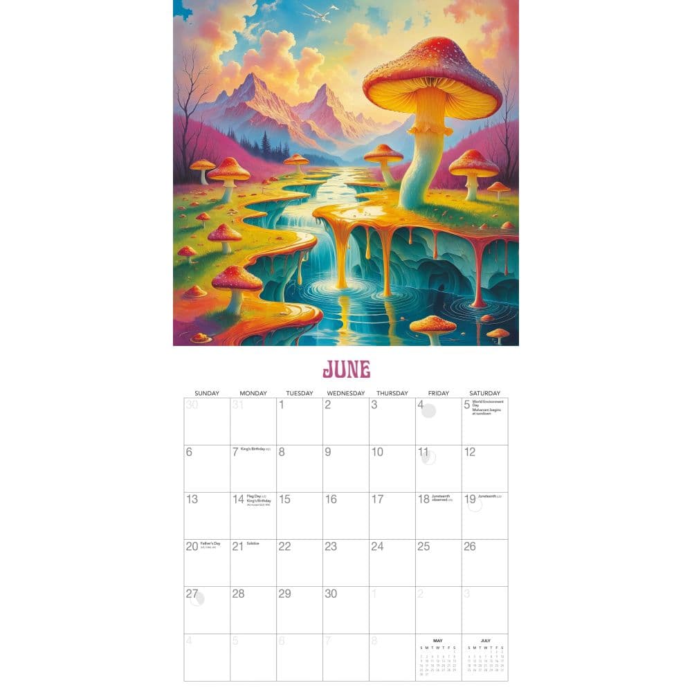 Trippy Shrooms 2027 Wall Calendar by Gladstone Media Third Alternate Image