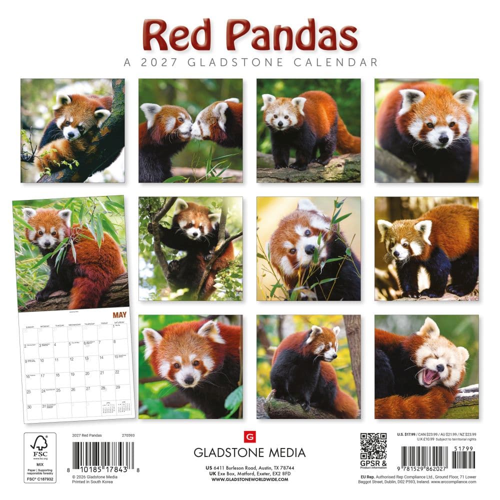 Red Pandas 2027 Wall Calendar by Gladstone Media First Alternate Image