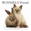 image Bunnies and Friends 2027 Wall Calendar by Gladstone Media Main Product Image