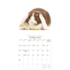 image Bunnies and Friends 2027 Wall Calendar by Gladstone Media Second Alternate Image