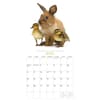 image Bunnies and Friends 2027 Wall Calendar by Gladstone Media Third Alternate Image