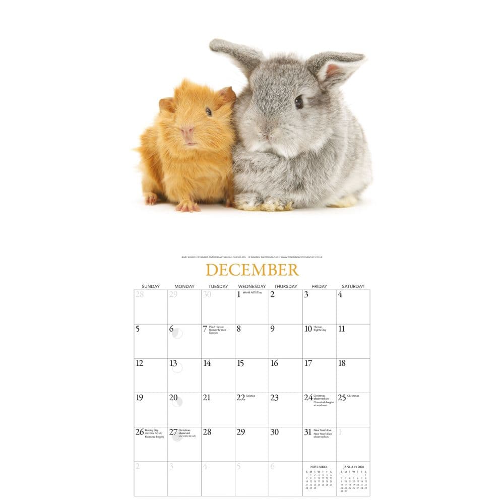 Bunnies and Friends 2027 Wall Calendar by Gladstone Media Fourth Alternate Image