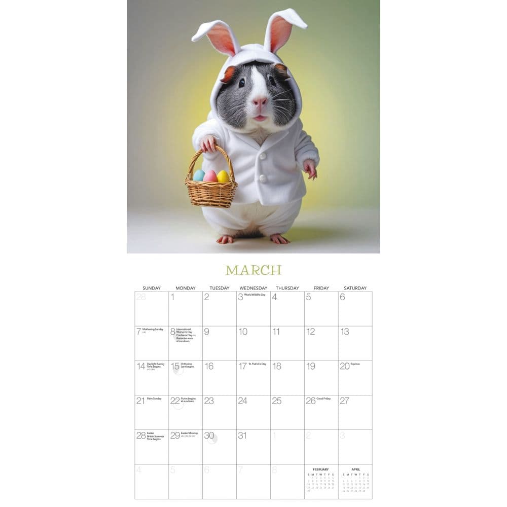 Guinea Pigs Rule 2027 Wall Calendar by Gladstone Media Second Alternate Image