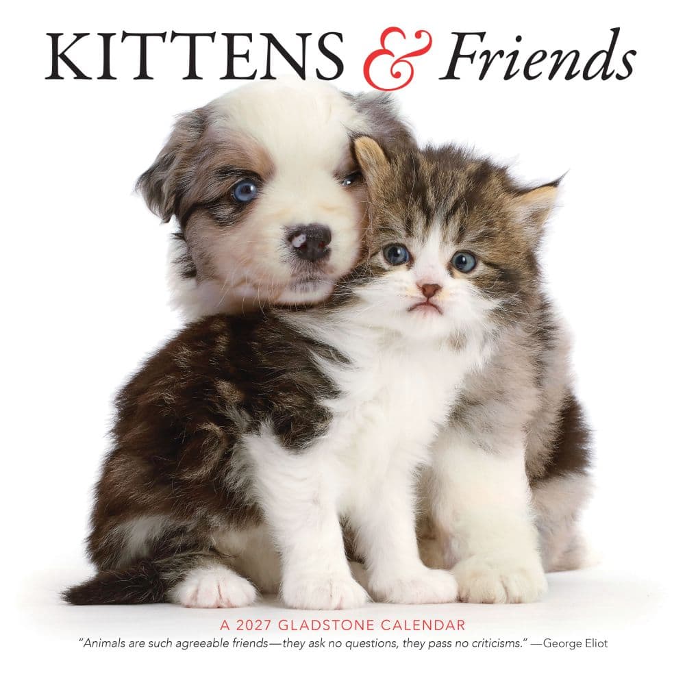 Kittens And Friends 2027 Wall Calendar by Gladstone Media Main Product Image