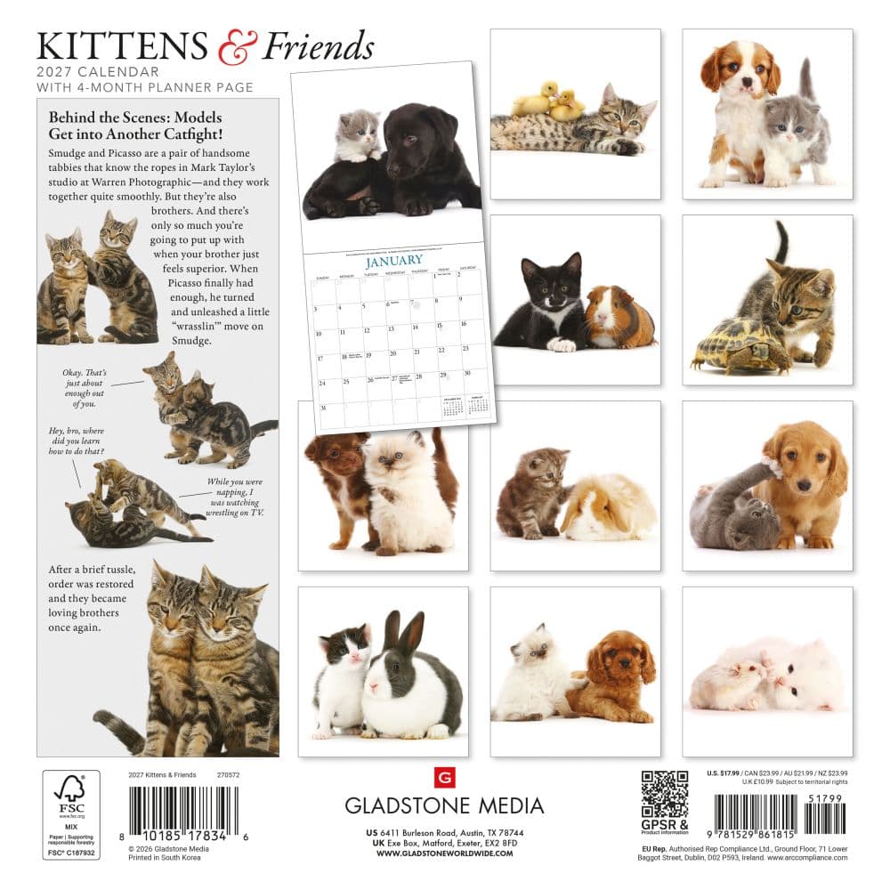 Kittens And Friends 2027 Wall Calendar by Gladstone Media First Alternate Image