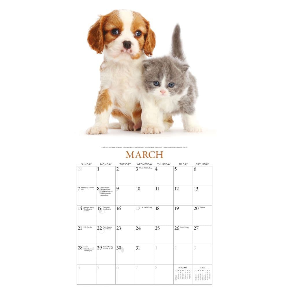 Kittens And Friends 2027 Wall Calendar by Gladstone Media Second Alternate Image